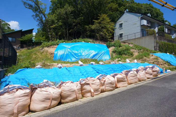 南側から見た現地